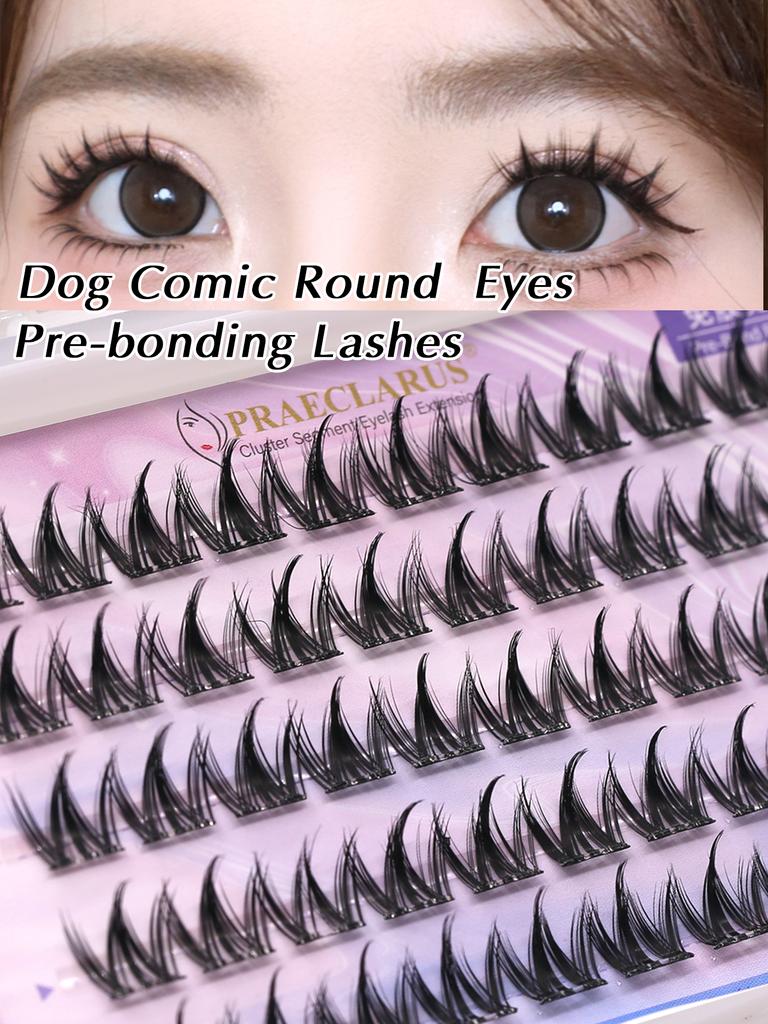 6 Rows Series Glue Free Lashes No-Adhesive Eyelash Set for Full Reusable Defined Lashes Long Lasting Reusable & Easy to Wear.