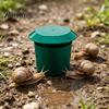 Reusable Snail Catcher Beer Bait Trap, Catcher, Not Included, Garden Slug Trap Physical for Slugs, Gardens, Vegetable Patches, Orchards Organic