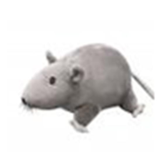 Simulated 3D Mouse Rat Animal Soft Plush Doll Toy Sofa Couch Decor New Year Gift