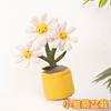 Jelly Cats Fun Little Daisy Potted Doll Tulip Narcissus Potted Plush Toy Decoration Decoration