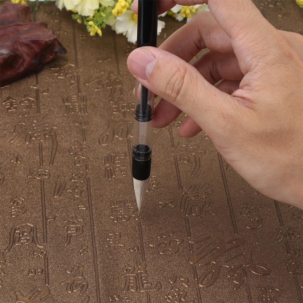 6Pcs White /Brown Brush Chinese Brush Pen Calligraphy Water Pen  Calligraphy Practice