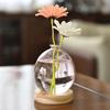 Transparent/Pink Creative Bubble Glass Vase With Wood Base Aromatherapy Bottle  Table Decoration