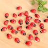 50Pcs Miniature DIY Little Garden Decor Coccinella Septempunctata Resin Crafts