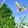 Flying Bird Electric Hawk Garden Easy To Install Flying Falcon Hunting Garden Decoy Realistic Design Protecting Plants