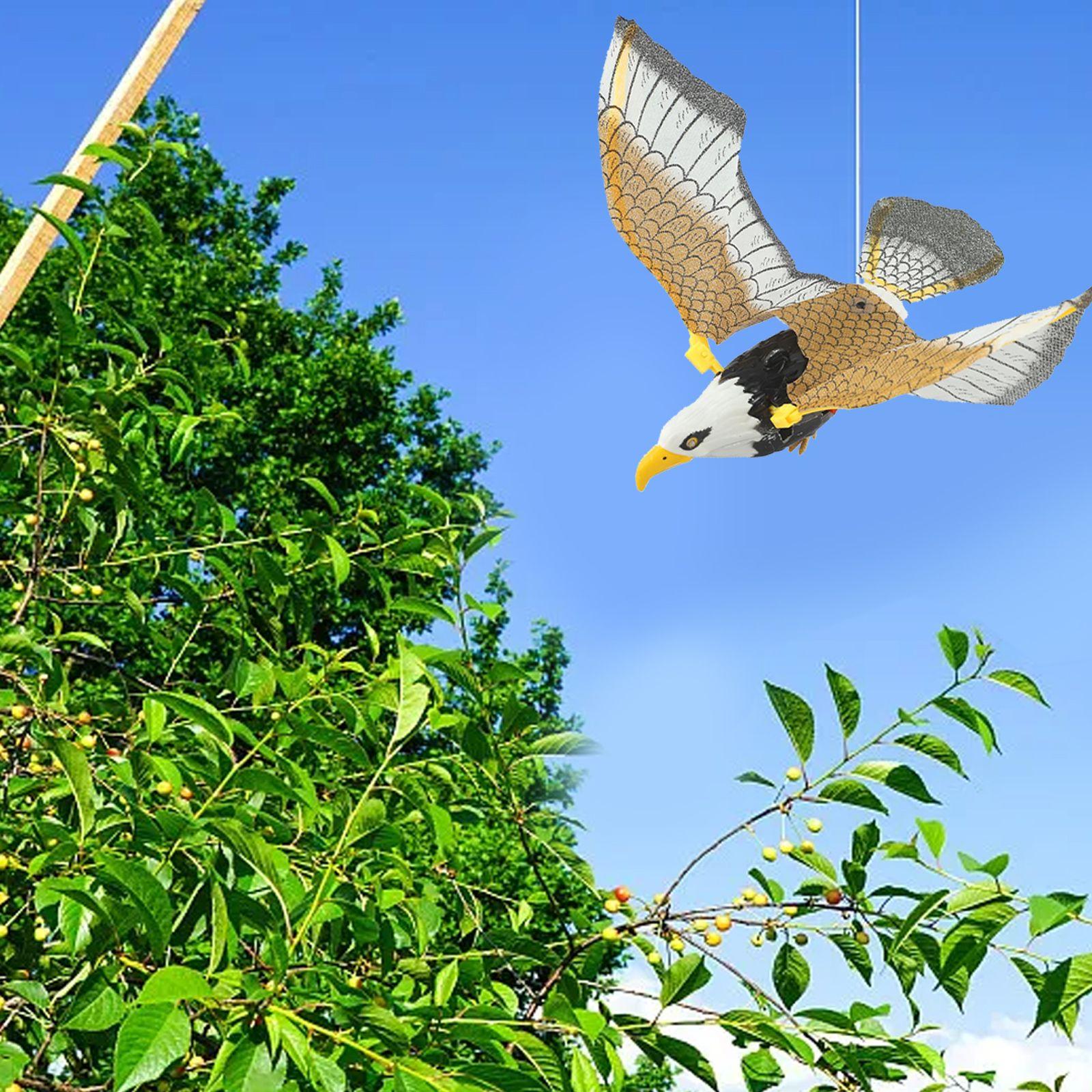 

Flying Bird Electric Hawk Garden Easy To Install Flying Falcon Hunting Garden Decoy Realistic Design Protecting Plants China Mainland