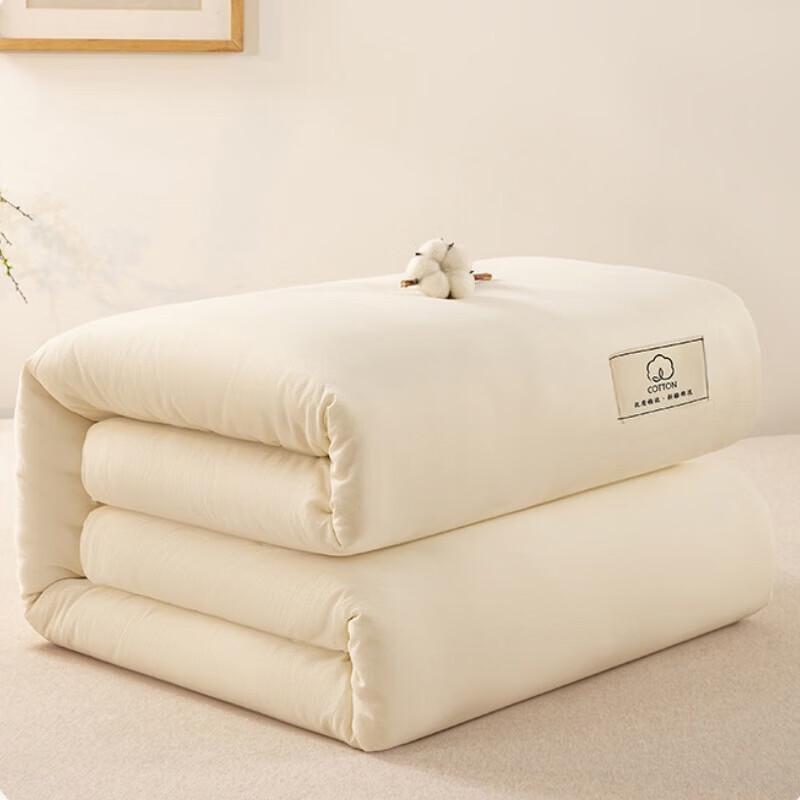 Thickened Xinjiang Cotton Quilt Insert