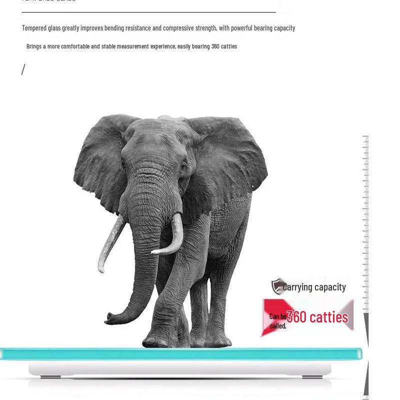 ASA W1 Body Fat Scale 3-Piece Fitness Set (CN Version)