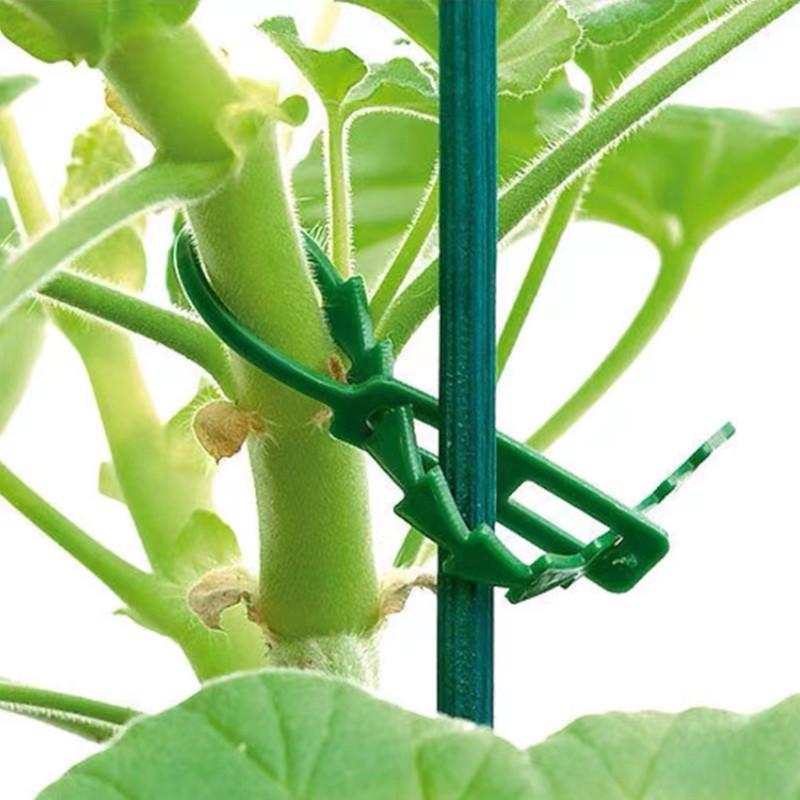 Cinturón multiusos Fishbone Green Garden