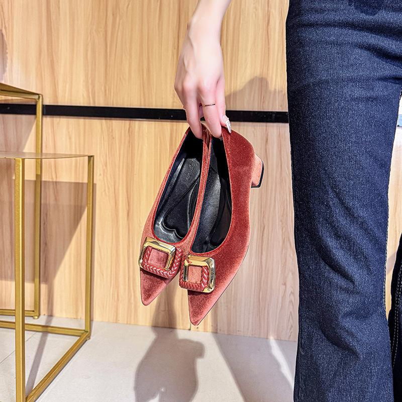 Pointed thick heel shallow mouth single shoes women's 2025 new spring and autumn suede temperament versatile commuting not tired feet low heel women