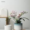 Luxury White Ceramic Hanging Flower Pot Set for Orchids and Money Trees in Living Room
