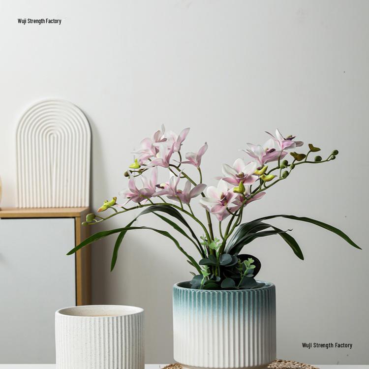 Luxury White Ceramic Hanging Flower Pot Set for Orchids and Money Trees in Living Room