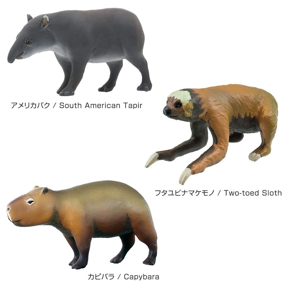 Calorata Tiergeographie Zone 4 Figur 3D Enzyklopädie und Australisch 12 Enthält Realistische Figur Box Pädagogisch Lebensmittelhygienegesetz Geschenk