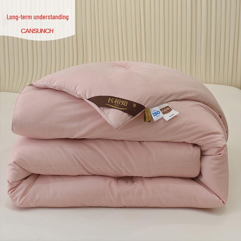 Snow Velvet Thickened Winter Duvet Insert