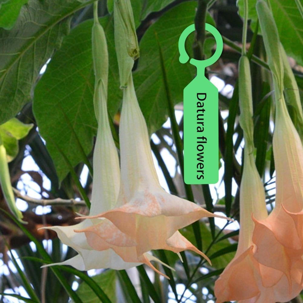 

200PCS Reusable Plant Labels Plastic Hanging Plant Labels Orchard and Farmland Plant Marking зелений