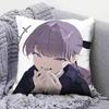 Gosling Lapwing   Home Sofa Cushion Covers and Aecorative Custom Pillow Covers