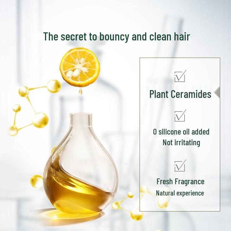 Syoss Oil Control & Volumizing Shampoo