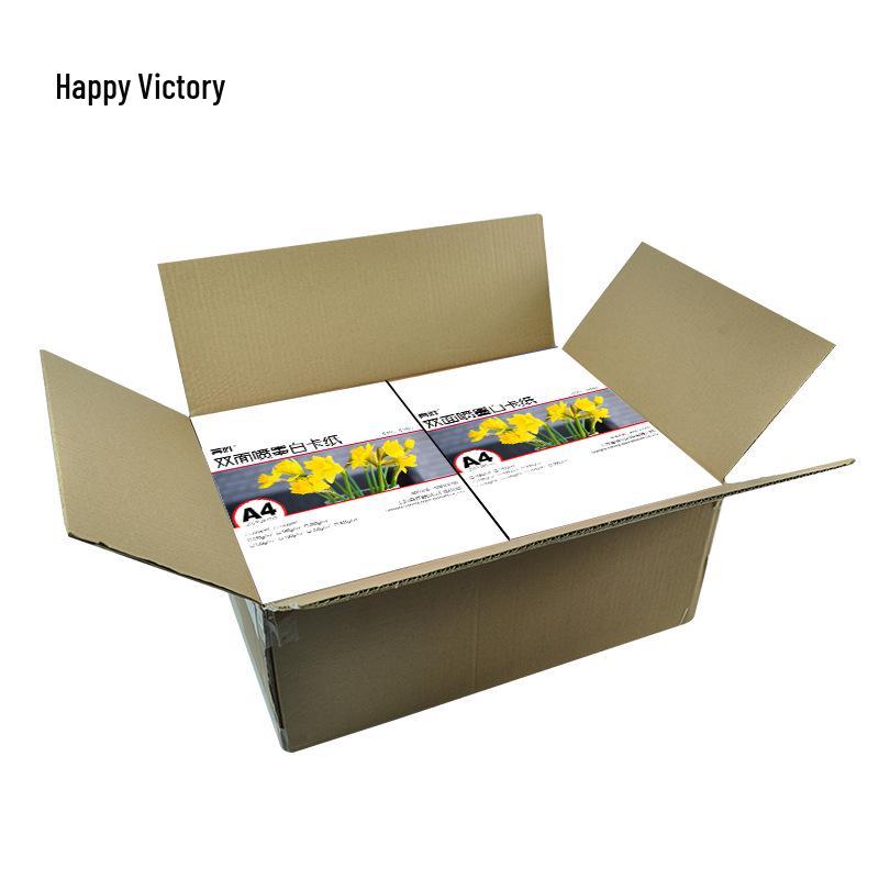 A4 Double-Sided Matte Inkjet Cardstock (230g, 250g, 300g) - White A3 Printable