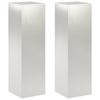 Plant Stand 2 Pcs Silver 30 X 30 X 100 Cm Steel