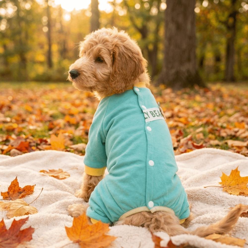 Soft Pet Jumpsuit Elastic Dog Recovery Suit Comfortable Pet Belly Cover for Autumn Winter
