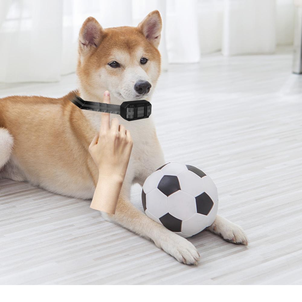 

Водонепроницаемое устройство с дистанционным управлением, широкий диапазон 1200 м, ЖК-дисплей, режимы освещения, электронный ошейник, звуковой сигнал для двух собак, вибрационный шок, дрессировка домашних собак, контроллер против лая