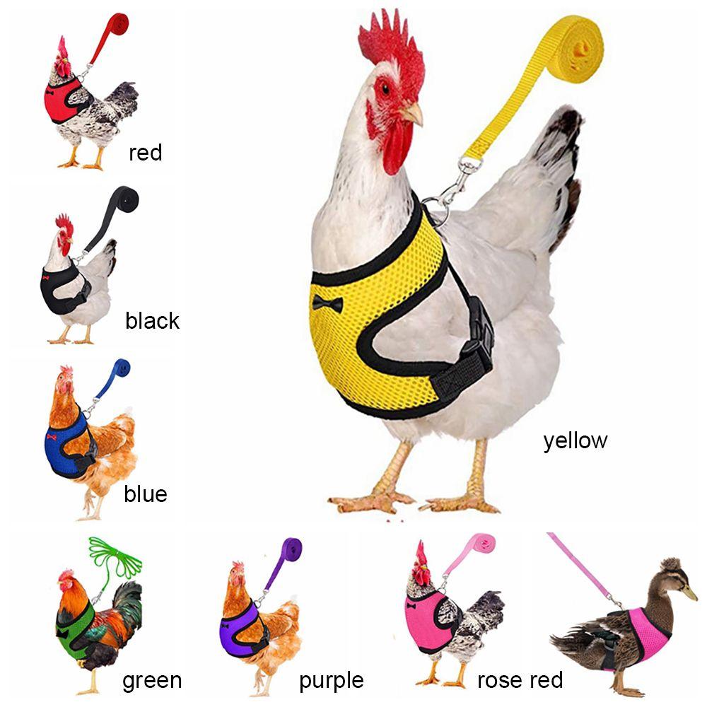 Matching Collars Small Animal Adjustable Bow Pet Harness Leash Chick Leads Hen Belt Chicken Vest