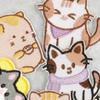 QX2E 10 Pcs Cartoon Cats Applique Patches Embroidery Patches Iron On Patches Embroidered Patches Animal Sew On Patches