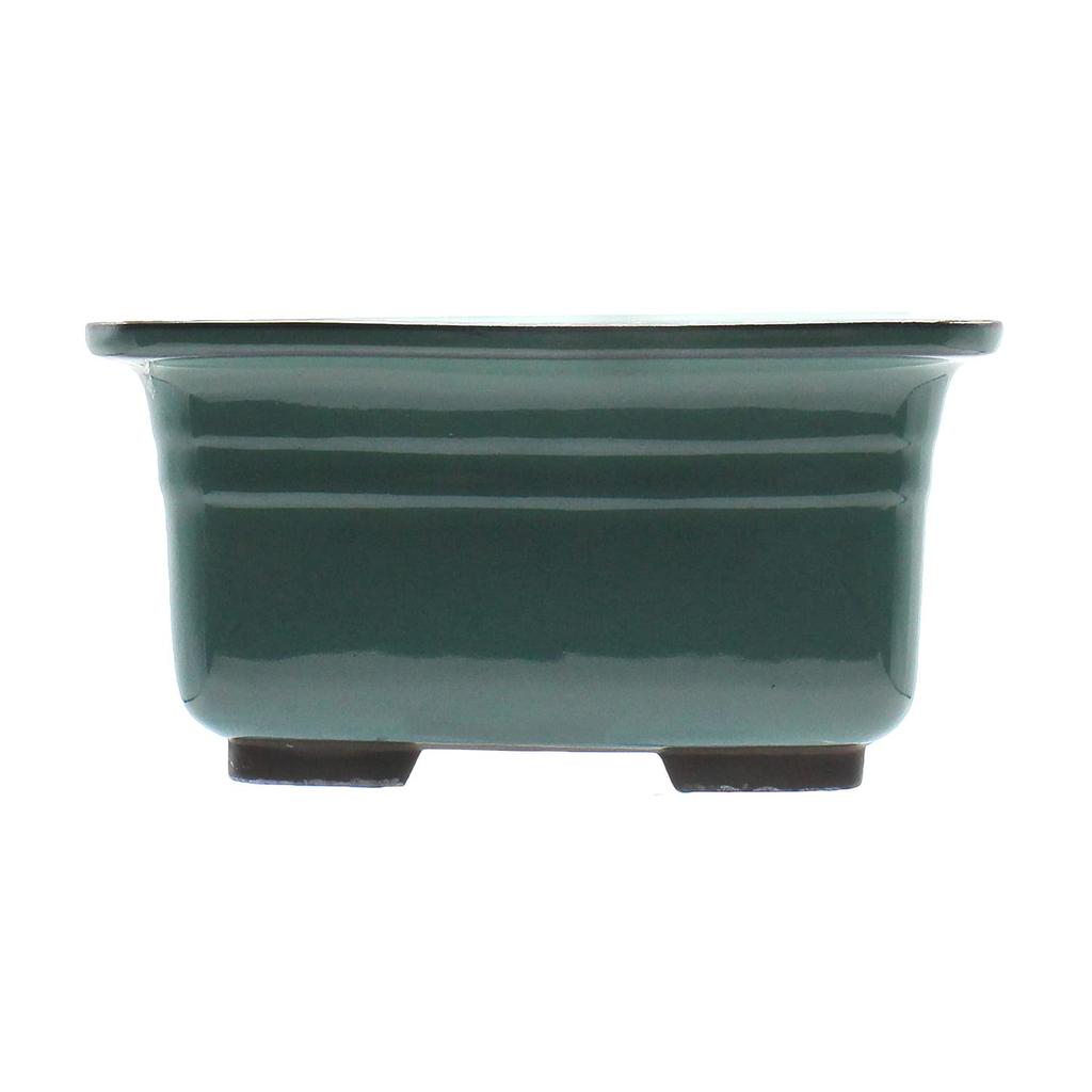 Umekichi Bonsai 6 Bonsai Mittelband Oribe Seto Tief Ungefähr Verschiedene Mittlere Größe Zubehör, Nein. Topf, Nade-Kaku Tief, Grün, Glasur, Ware,