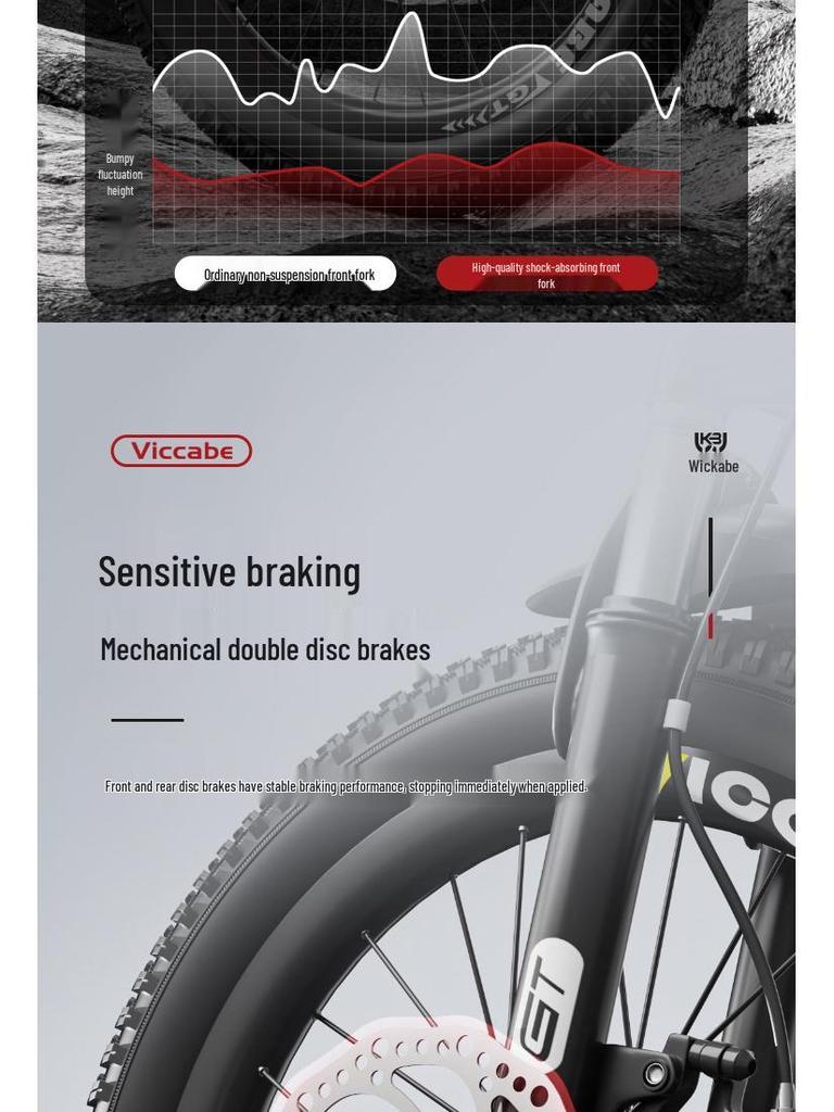 20 Inch Variable Speed Mountain Bike for Children Ages 7-11