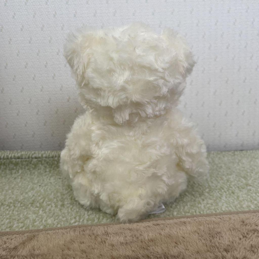 [USED] White teddy bear