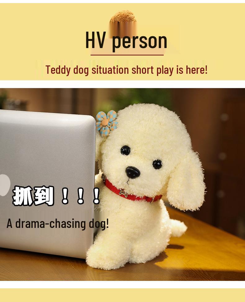 Cute Realistic Husky and Pomeranian Dog Plush Figurine Dolls