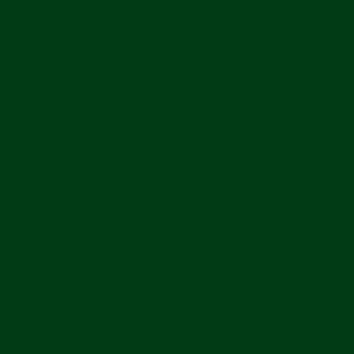 Oil Paint - Green Earth - 629 - Extra-fine - Rembrandt - 40ml Tube
