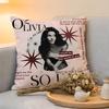Cushion Cover  Linen  SkinFriendly Soft Decorative Case for Sofa Home Decor Singer OOlivia Dean Pillow Cover