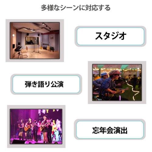 Iseebiz Microphone Stand, Straight Microphone Holder, Upright Tripod Stand, 2-Way, Telescoping Microphone Arm, Adjustable Height, Lightweight, with Ca