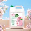 Moisturizing & Disinfecting Hand Wash Refill 5L