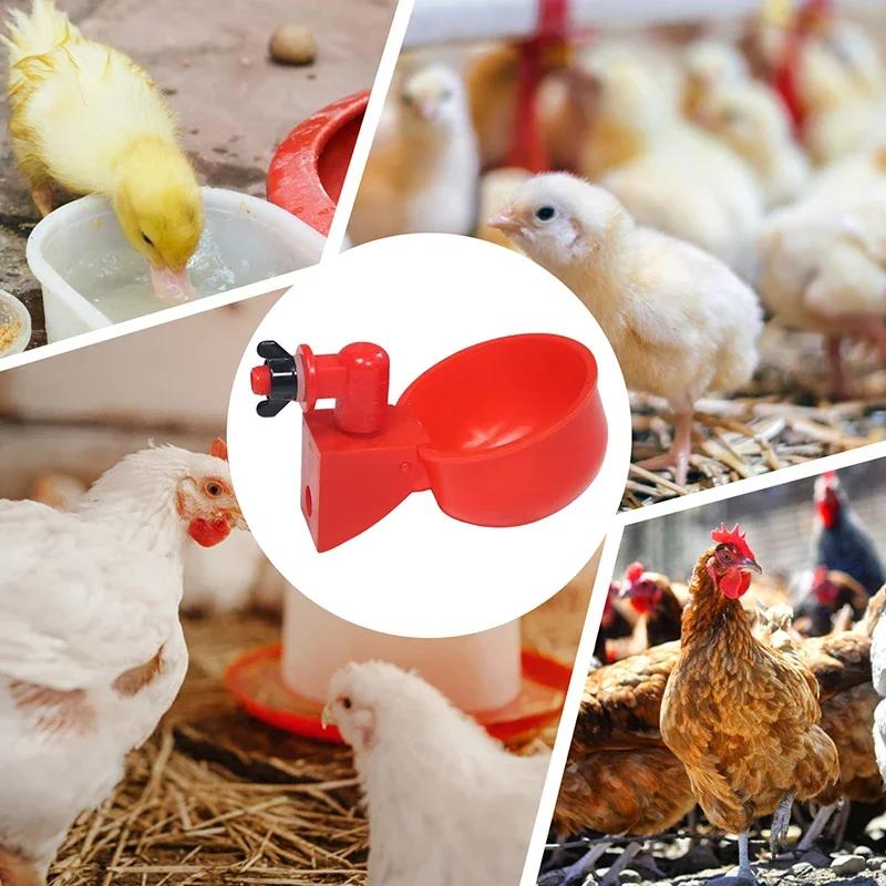 5/10/20/40/50pcs Chicken Duck Drinking Cup Automatic Drinker Chicken Feeder Plastic Poultry Farm Water Drinking Cups