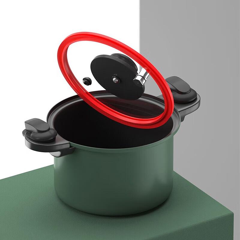 DStt Multi-Purpose Micro Pressure Cooker