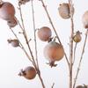 8 Fruit Artificial Pomegranate Branch Plastic Realistic Foam Fruits Branches Decorative Handmade Simulation Pomegranate Fruit