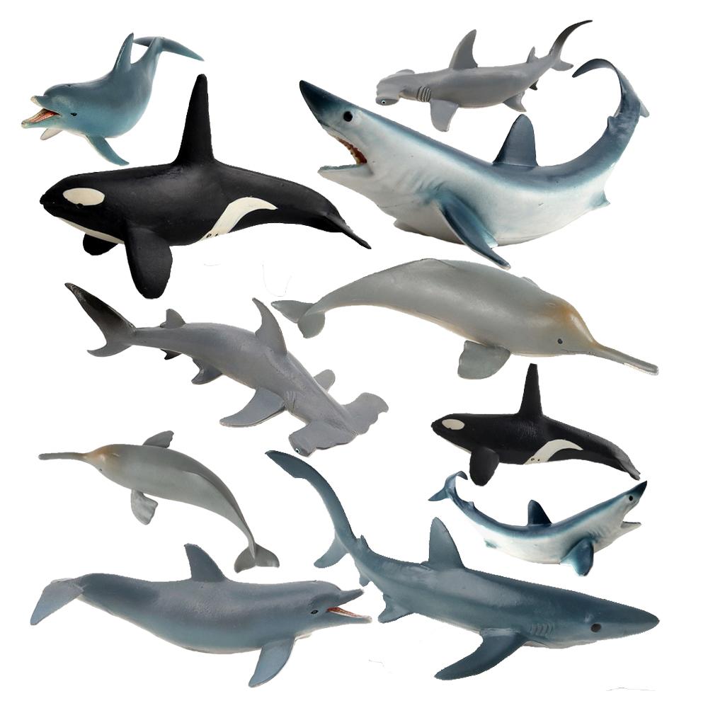 Interesting Toys Endangered Marine Animals Figurines Killer Shark Orca Beluga Whale Dolphin Seal Model Action Figure Toy Conservation Awareness