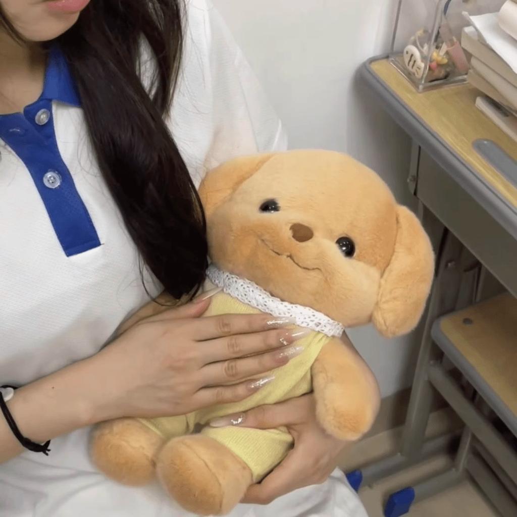 Internet Celebrity Senbel Plush Toy Poodle Cute Doll Family Dressing Puppy Doll Event Gift