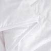 Luolai Antibacterial Peach Skin Velvet All-Season Fiber Quilt