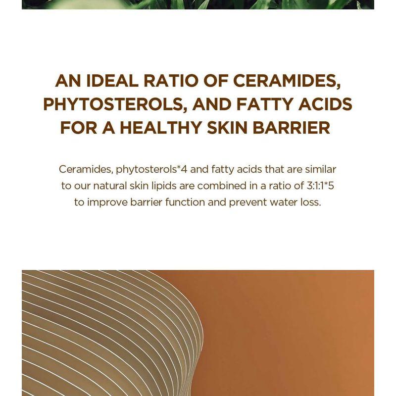 SKIN 1004 - Madagascar Centella Probio-Cica Intensive Ampoule Mini