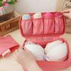 Dadaso Travel Underwear Organizer Pouch Set of 2 (Blue, Pink, 2 Colors)