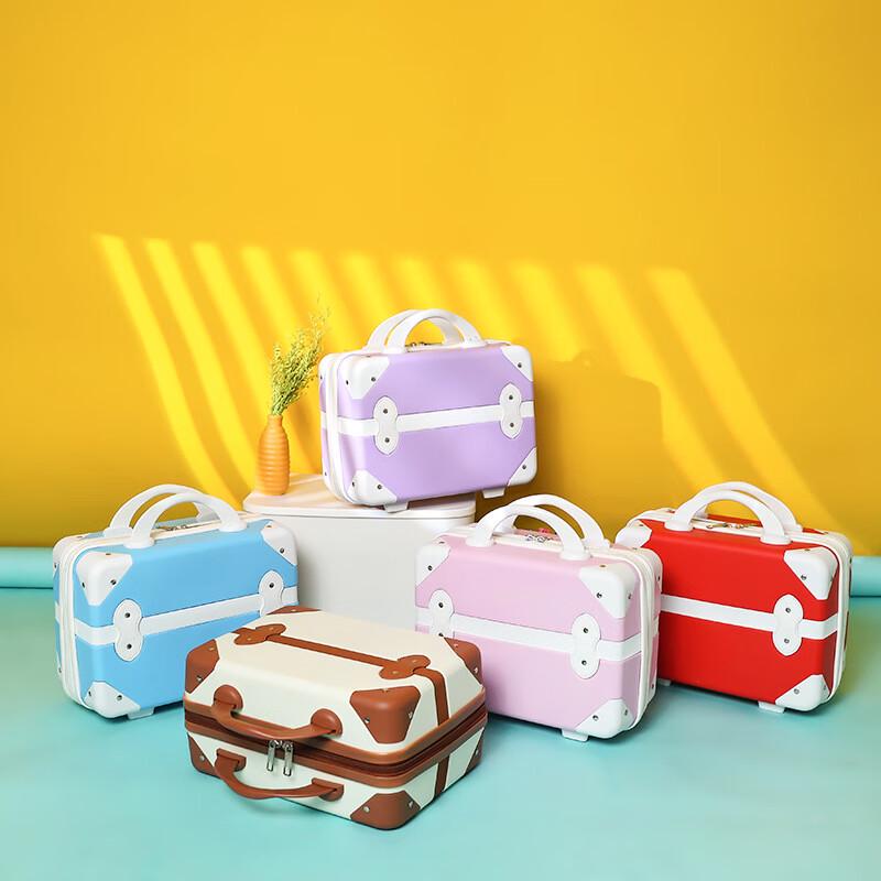 Ruyishi Mini Portable Cosmetic Luggage 14 inch