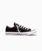 Converse Chuck Taylor All Star Classic Black M9166C