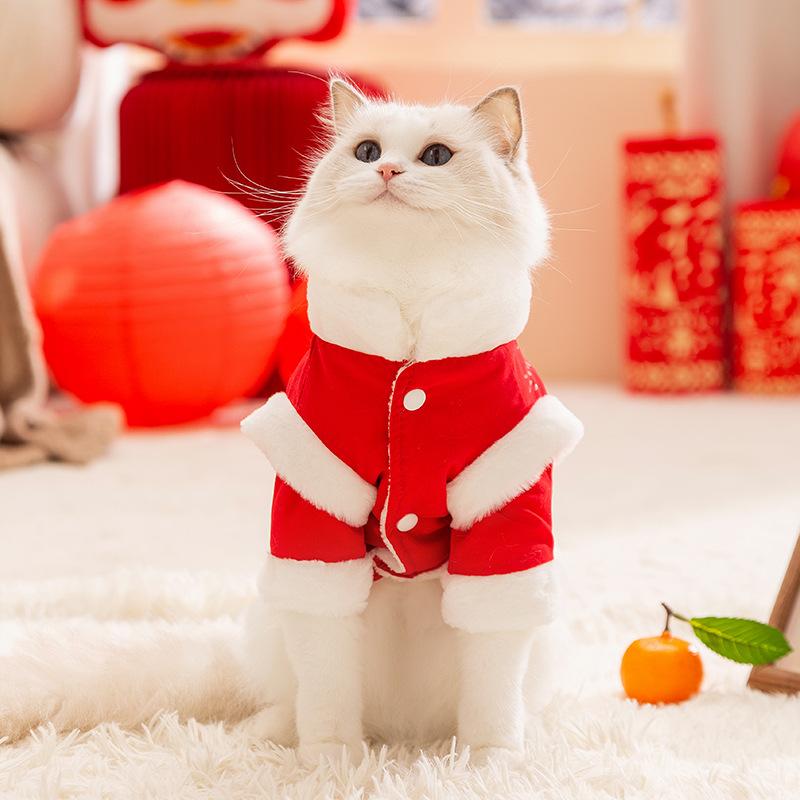 New Year's Pet Clothes Can Lead Festive New Year's Greetings, Two-legged Cotton-padded Clothes, Kittens, Hairless Cats, Chinese New Year,