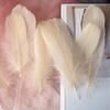 50Pcs Goose Feather Soft Big Floating Diy Sunflower Wall Decoration Dream Catcher Wing Decoration Handmade Material Colored Cat Stick Feather