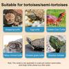Turtle Tank Terrapins Feeding Box with Basking Platform Turtle Small Reptiles Breeding Tool with Bottom Drainage Plug