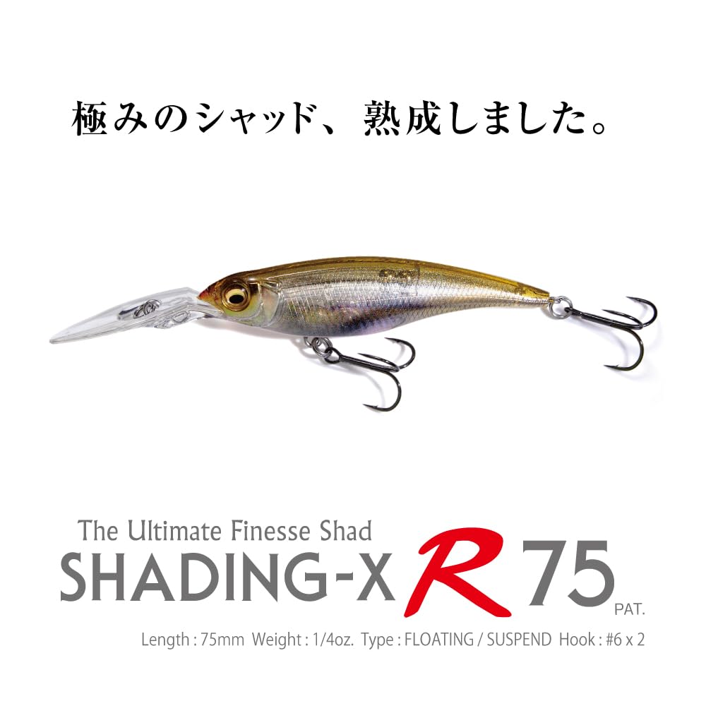 R 75F DD Silver Shad SHADING-X