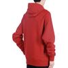 Jordan Sweatshirts Men's Red Hooded Moderate Other AQ1209-687