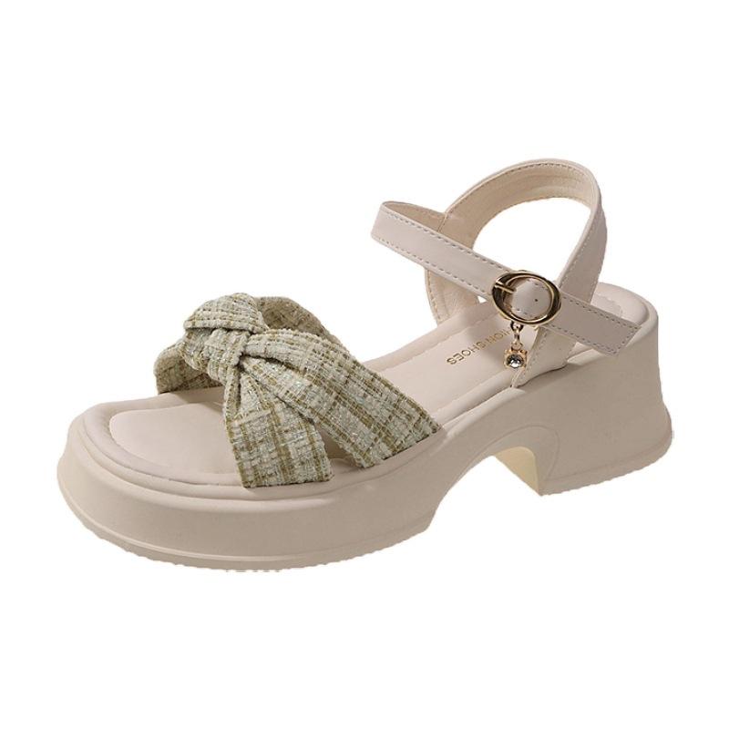 Fairy style sandals female 2025 new summer outer wear temperament thick bottom beautiful matching skirt word with high heels